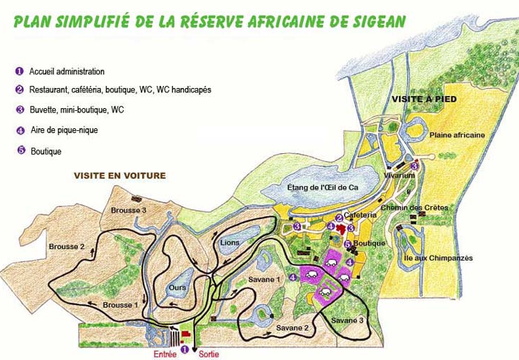 Visite de la réserve Africaine de Sigean