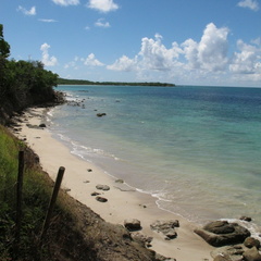 paysage cotier de la Martinique.