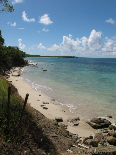 paysage cotier de la Martinique..jpg