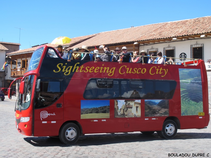 Transport de touristes à travers la ville.jpg