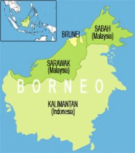 Ile de Bornéo